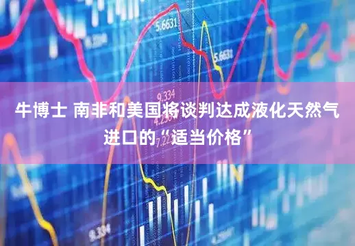 牛博士 南非和美国将谈判达成液化天然气进口的“适当价格”