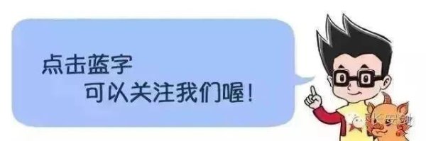万银鼎信 “那人是不是美人鱼啊？！”